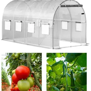 Bauerkraft baltas sodo plėvelinis šiltnamis 6 × 3 × 2 m, 18 m²